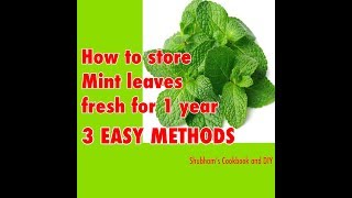 How To Store Mint Leaves For 1 Year | 3 EASY METHODS | English