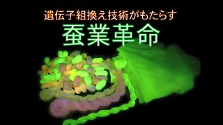 遺伝子組換え技術がもたらす蚕業革命（短編）