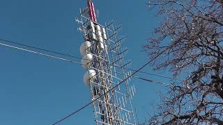 Le antenne di Conconello, Trieste