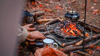 SOLO Camping in Beautiful, Empty Japanese Forest for Relaxation