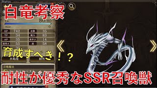 【FFBE幻影戦争】レイド報酬の白竜は育成すべきか考察していく【WOTV】