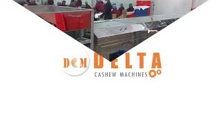 Delta cashew machine , Long pieces Grader