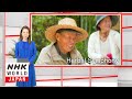 Herbal Symphony - HELLO! NHK WORLD-JAPAN