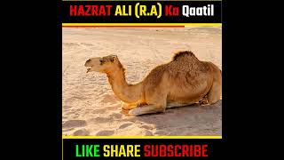 Hazrat Ali R.A Ka Qaatil | हज़रत अली का हत्यारा #shorts #islamicfacts