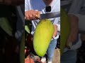 Beautiful Nature - Inspur Fresh Fruit wonderful video of  Industry #0543