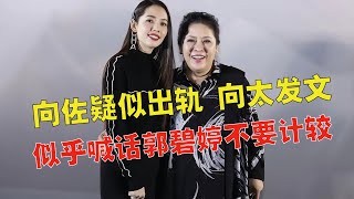 向太发长文称“傻人有傻福”，似乎喊话郭碧婷不要计较向佐绯闻