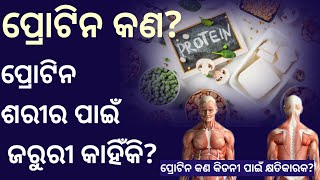 ପ୍ରୋଟିନ କଣ? | What is protein? |  ଶରୀର କୁ ପ୍ରୋଟିନ ଦରକାର୍ କାହିଁକି? Pran Sir