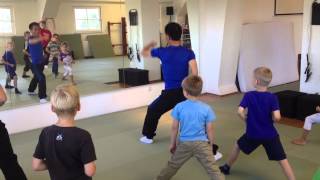 Shaolin kung Fu Sommercamp in Giessen