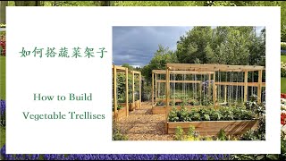 【养花·种菜】026 DIY 如何搭蔬菜架子 How to build vegetable trellises 蔬菜架子的三种搭法和各自的优缺点