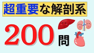 超重要な解剖・疾患・治療の聞き流し