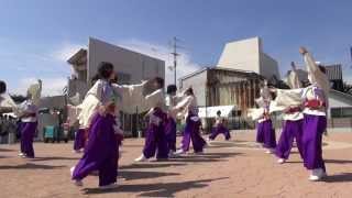 ねいろ 銭形よさこい2013 はれはれ公園会場