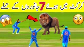 Top 7 Animal Attack In Cricket Field | Animal Attack In Cricket Ground | Mughal Sports