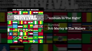 Ambush In The Night (1979) - Bob Marley & The Wailers