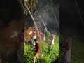 theyyam falling down from coconut tree bappiriyan azhikode