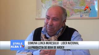 COMUNA LUNCA MURESULUI   LIDER NATIONAL LA PRODUCTIA DE BOIA DE ARDEI