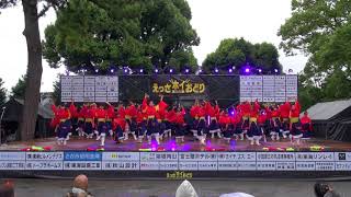 よさこい舞友伝４－えっさほい踊り２０１７