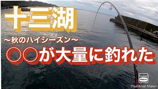 2020年10月8日青森県十三湖〜小泊周辺で秋のハイシーズンの釣りを楽しんできた