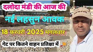 दलोदा मंडी की नई लहसुन की आवक,18 फरवरी 2025 मंगलवार |