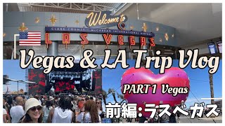 【ラスベガス旅行Vlog】海外の野外フェス初参戦☆記念日旅行 前編ラスベガス編 || Vegas \u0026 LA Anniversary Trip PART 1- Vegas