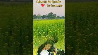 All Time Blockbuster Movie DDLJ#shorts#ytshorts#nature#ddlj#bollywood#srk