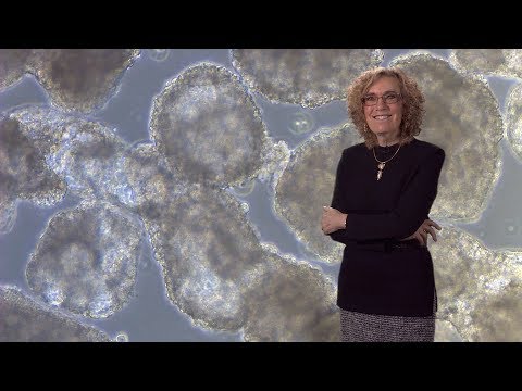 Elaine Fuchs (Rockefeller, HHMI) 1: Skin stem cells: biology and promise for regenerative medicine