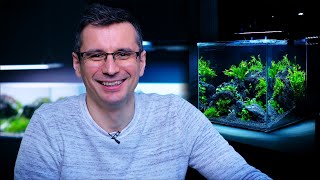 Introduction to the AQUASCAPING Hobby - Dwarf PUFFER FISH in a Nano Aquascape