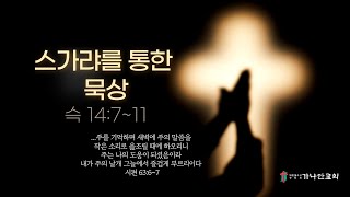 2023-06-20(화) 스가랴를 통한 묵상(슥 14:7~11)