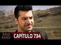 Perdóname (Beni Affet) - Capítulo 734