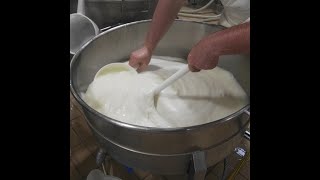 Produzione Mozzarella di Bufala Campana DOP