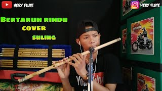 bertaruh rindu cover suling