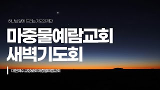 [마중물예람교회] 새벽기도회ㅣLIVE 2024년 12월 19일 | 이새롬 목사