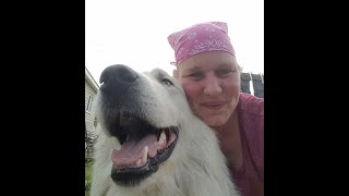 PTSD Buddy Chat - Helen From Newfoundland