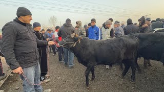 МОЛБОЗОРИ ШАХРИНАВ ЧЕПТУРА БОЗОРИ МАЙДА ЛЕКИН ОБОД БОЗОР НАРХИ ГОВ ГУСФАНД БУКА СЕРКА 5 декабря 2024