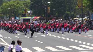 ひろしまフラワーフェスティバル(2015/5/5)「広島美容専門学校 HBC」