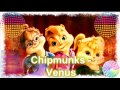 Chipmunks Venus (Lady Gaga)