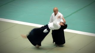 Aikikai Aikido - Osawa Hayato Shihan  - 54th All Japan Aikido Demonstration (2016)