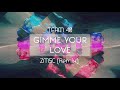 team 40 gimme your love zeiii remix