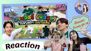 Reaction ด้อมมองข้างจอ EP.19 : สวนสัตว์ มันส์สุดๆ! ไม่หยุดถ้าเมมไม่เต็ม!! | เมมเต็ม EP.4