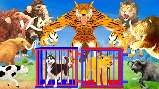 5 Giant Elephant Cow vs 5 Tiger Wolf Monster Lion Attack Lion Cub Dog Saved by Woolly Mammoth Battle