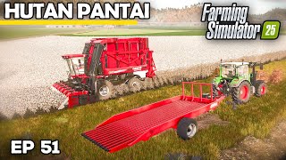 FIRST TIME HARVESTING COTTON | Farming Simulator 25 - Hutan Pantai | Episode 51