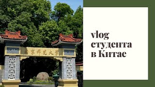 СУРОВЫЕ БУДНИ СТУДЕНТА В КИТАЕ или попытка выжить 📚🍀|экзамены|HSK|Nanjing Normal University