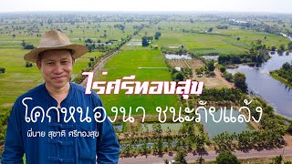 (Eng Sub)โคกหนองนา ชนะภัยแล้ง ไร่ศรีทองสุข บุรีรัมย์ โดย พี่นาย No more drought at Srithongsuk' Farm