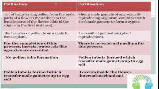 Pollination vs fertilization