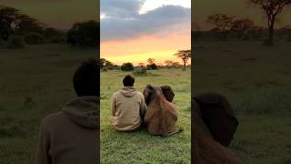 This Baby African Elephant Can’t Get Enough of Cuddles! #baby #elephant #love #cute