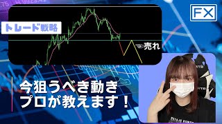 【FX戦略】日足の流れを優先し、売る（10/7・今後の狙い方）