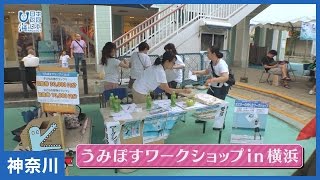 #18 カナガワニ海 うみぽすワークショップ in 横浜 編｜海と日本PROJECT in かながわ