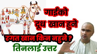 गाई को दूध खानु हुन्छ भने रगत किन खानु हुँदैन?जवाफ|#trending #youtube #nepal #motivation #news #cow