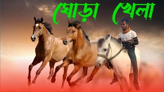 10 টি এমন ঘোড়া যা দেখলে বিশ্বাস করতে পারবেন না । 10 Horse Breeds