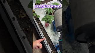 Indoor Potting Soil matters!! Happy Frog vs Miracle-Gro Performance Organics container mix