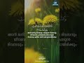 ജീസസും മേരിയും ഖുർആനിൽ jesus u0026 mary in quran surah maryam nermozhi